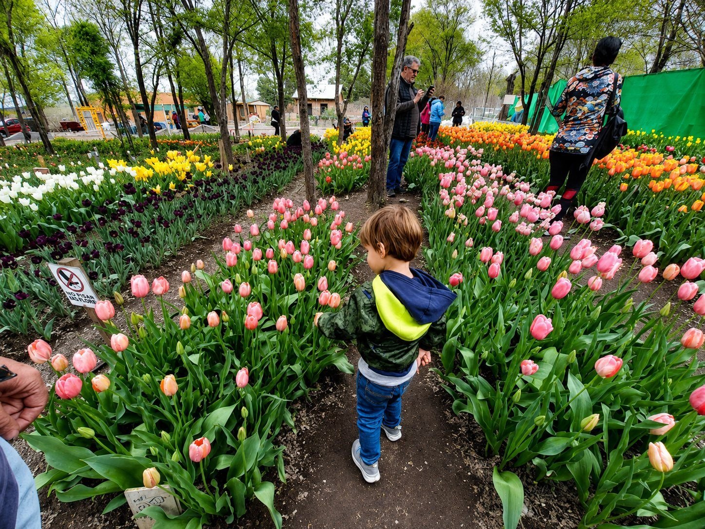 Jardín de Tulipanes